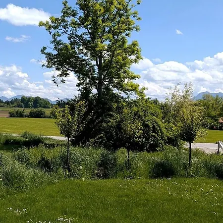 Appartement Haus Rosi *